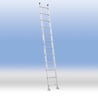 D - type Straight Ladder