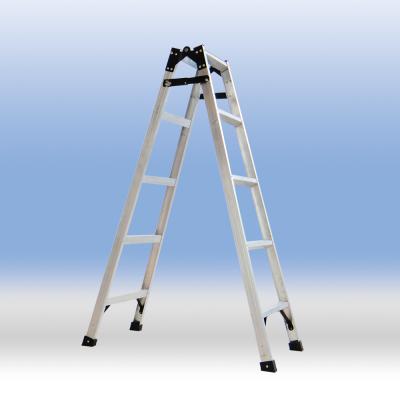 Aluminum Alloy Dual Purpose Ladder
