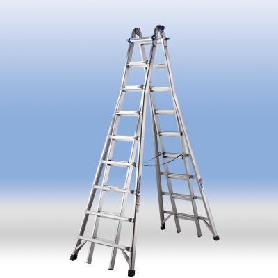 Ferris Ladder