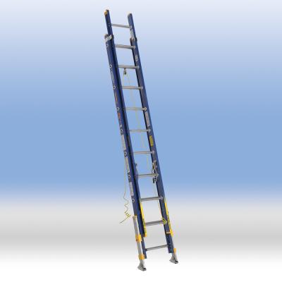 Two-section Extension Ladder (with integrated balancer)